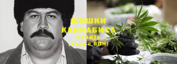 МДПВ Михайлов