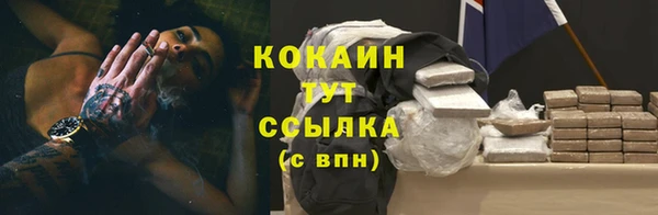 твердый Абаза