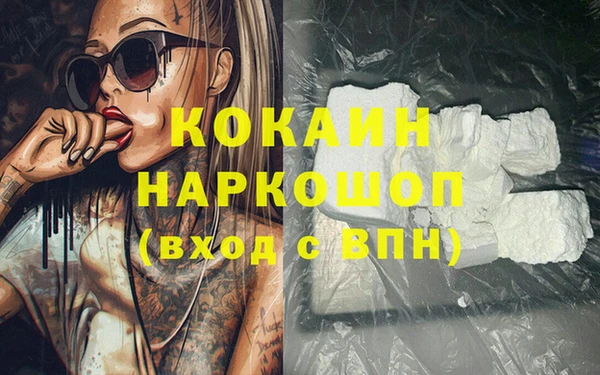 МДПВ Михайлов