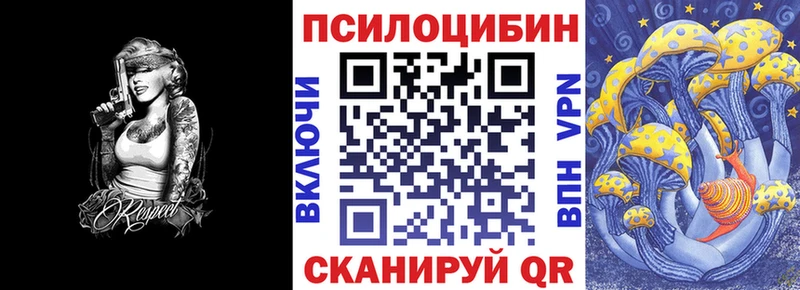 гидра вход  Эртиль  Галлюциногенные грибы Psilocybe 